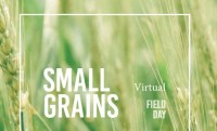 2020 Small Grains Management Virtual Field Day