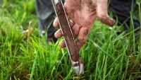 2020 Fall Pasture Management Series