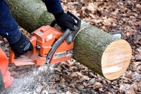 Proper Chainsaw Sharpening Techniques