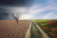 Understanding Climate Change and its Impacts on Local Agriculture