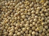 Finger Lakes - Soybean/Small Grains Congress, Waterloo