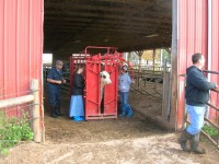 Beef Quality Assurance Training - Empire Farm Days