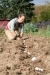 Cornell Small Farms Programs: BF 110: Soil Health