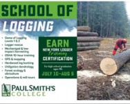 School of Logging