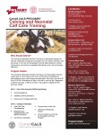 Calving and Neonatal Calf Care Training  **CLASS FULL**