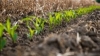 Soil Health Field Day