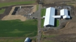 Dairy Feeder