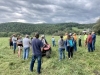 Pasture Walk: Custom Grazing and Healthy Soils Workshop