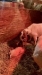 Baby Mama Drama (Goat Reproduction and Kidding)
