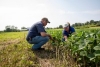 NY Soil Health Field Day in Pavilion, NY