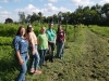 Young Farmer's Coalition Board of Director Elections and Potluck