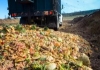 Webinar: Economic Feasibility of Co-Digestion of Manure and Food Waste
