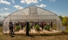 Cornell High-Cannabinoid Hemp Field Day