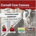 Cornell Cow Convos Podcast- Episode 2 Release