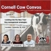 Cornell Cow Convos Podcast- Episode 4 Release