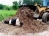 Composting Livestock Mortality and Butcher Waste