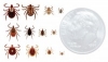 Let's Talk Ticks, What Every Livestock Producer Needs to Know