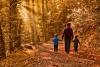 Annual Woods Walk 2025