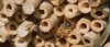 Build Your Own Bee Hotel Workshop