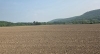 WNY Pastureland Conversion & Soil Health Field Day
