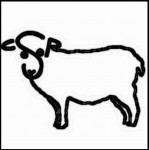 2025 Annual Cornell Sheep and Goat Symposium Day 1