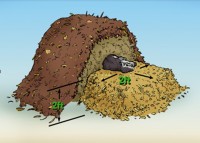 Animal Mortality Composting Demo