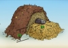 Animal Mortality Composting Demo