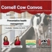 Cornell Cow Convos Podcast- Episode 43 Release