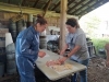 Poultry Processing Workshop, Naples, NY