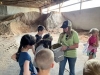 Dairy Feeder School