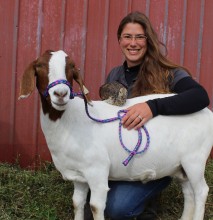 Particle size matters for high-straw dry cow diets by Casey Havekes -  Southwest New York Dairy, Livestock & Field Crops Program - Cornell  University - Cornell Cooperative Extension