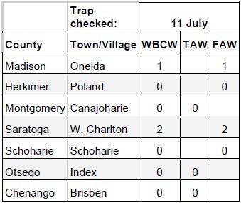 WBC, TAW, and FAW trap table