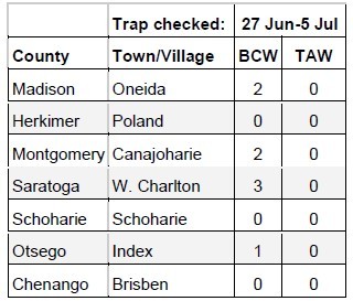 Table for traps checked for Black Cutworm and True Armyworm