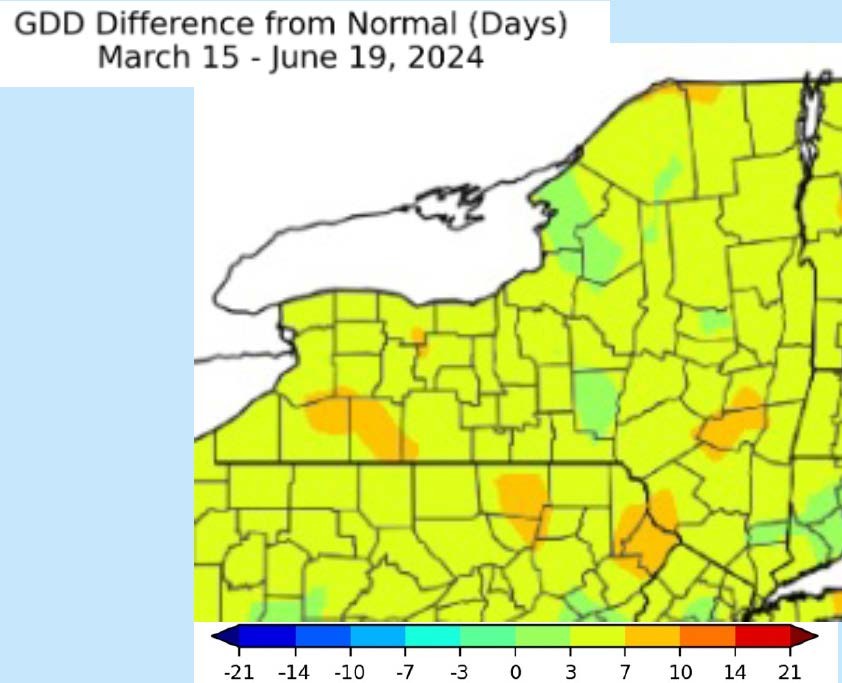 GDD Difference from Normal March 15 - June 19