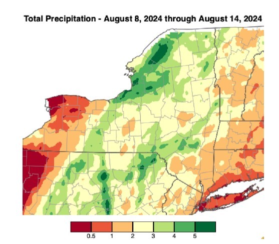 Total Precipitation August 8-14