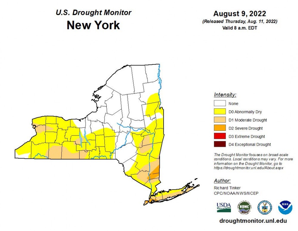 U.S. Drought Monitor New York for August 9, 2022
