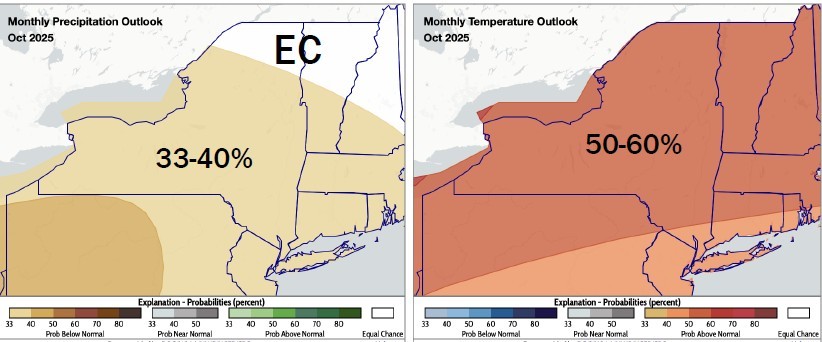 monthly precipitation and temperature outlook monthly precipitation and temperature outlook