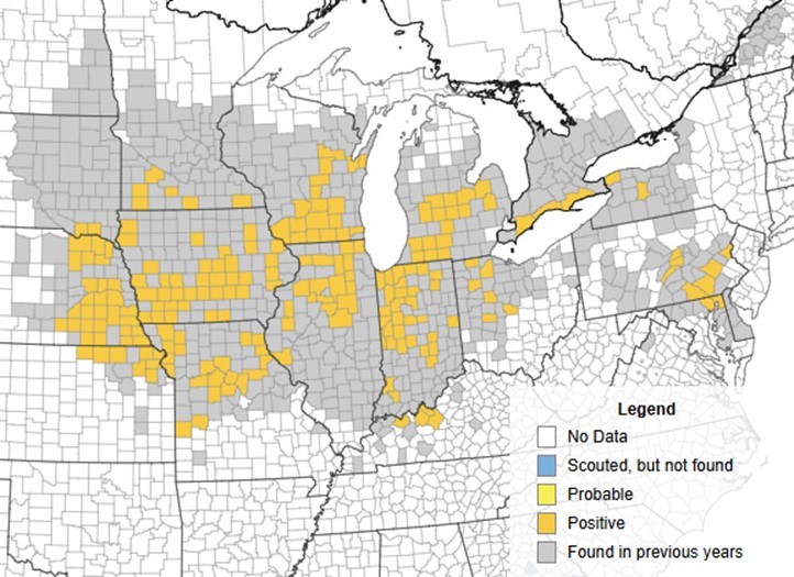 Tar Spot of corn map Tar Spot of corn map
