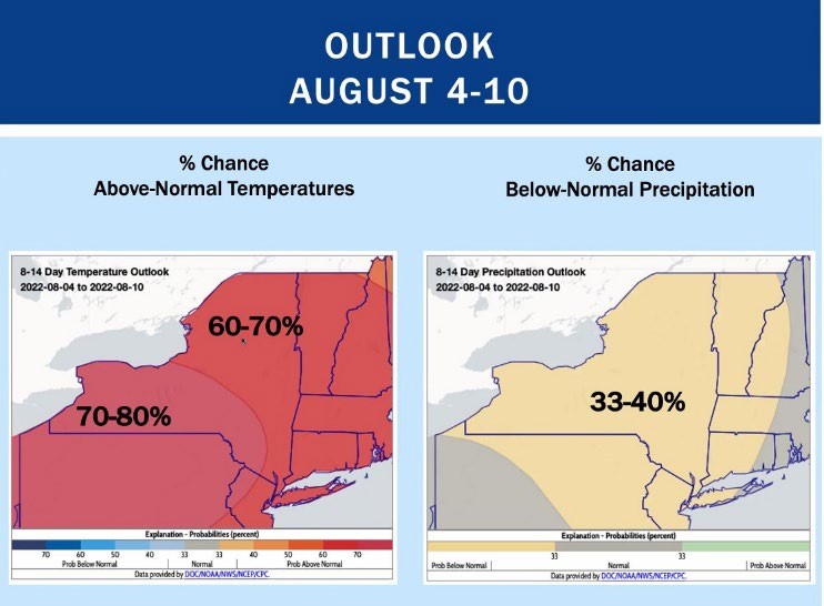Outlook for temperatures and presipitation for August 4-10