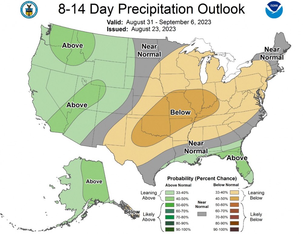 8-14 Day Precipitation Outlook