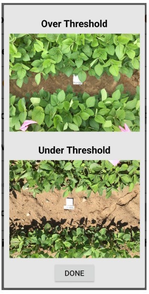 Over and under threshold for white mold in soybeans