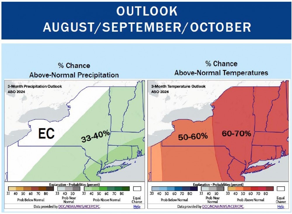 Outlook for August/September/October