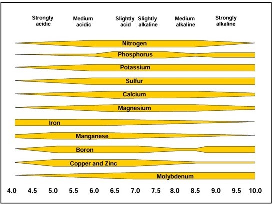 Availability of plant nutrients with pH.  