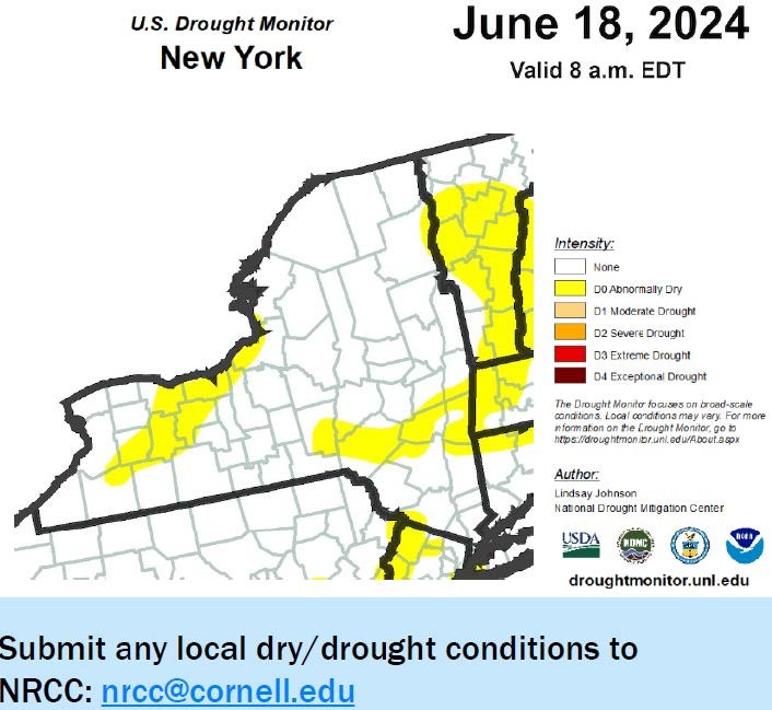 U.S. Drought Monitor New York June 18