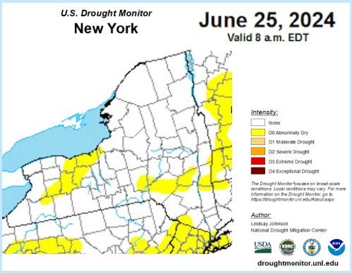 Drought monitor for NY June 25