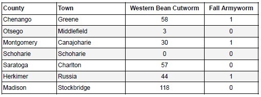 corn moth trap data