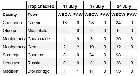 traps checked table