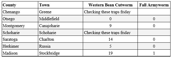 Western Bean Cutworm and Fall Armyworm counts