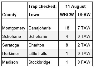 Pests caught in traps count