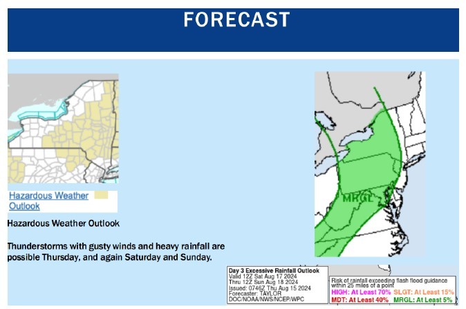 Forecast